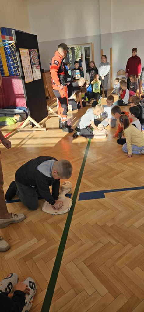 Program edukacyjny 